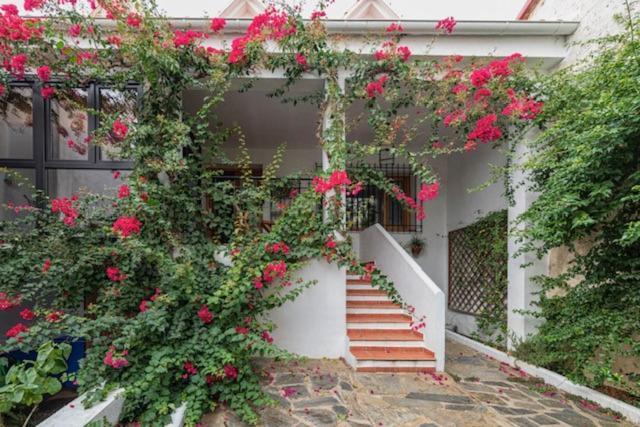 Casa Rural Collao De Lobo Serradilla Kültér fotó